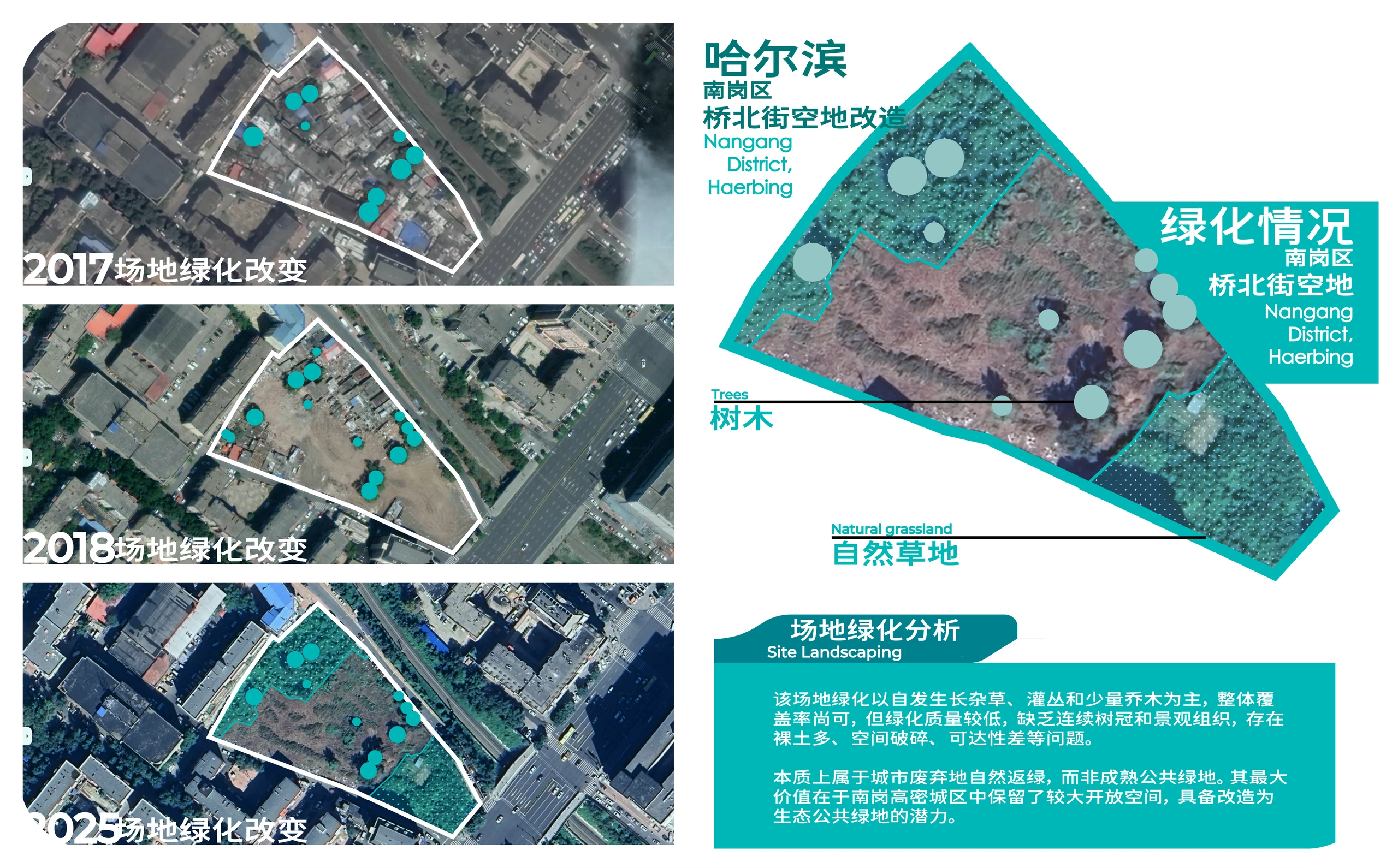 场地条件 10